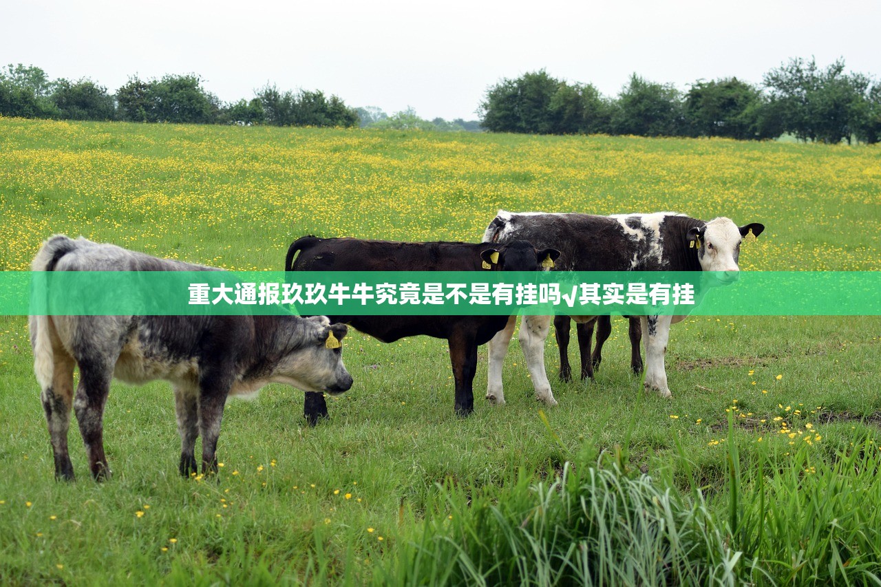 重大通报玖玖牛牛究竟是不是有挂吗√其实是有挂