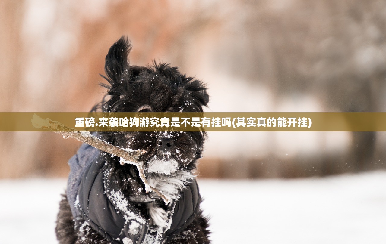 重磅.来袭哈狗游究竟是不是有挂吗(其实真的能开挂)