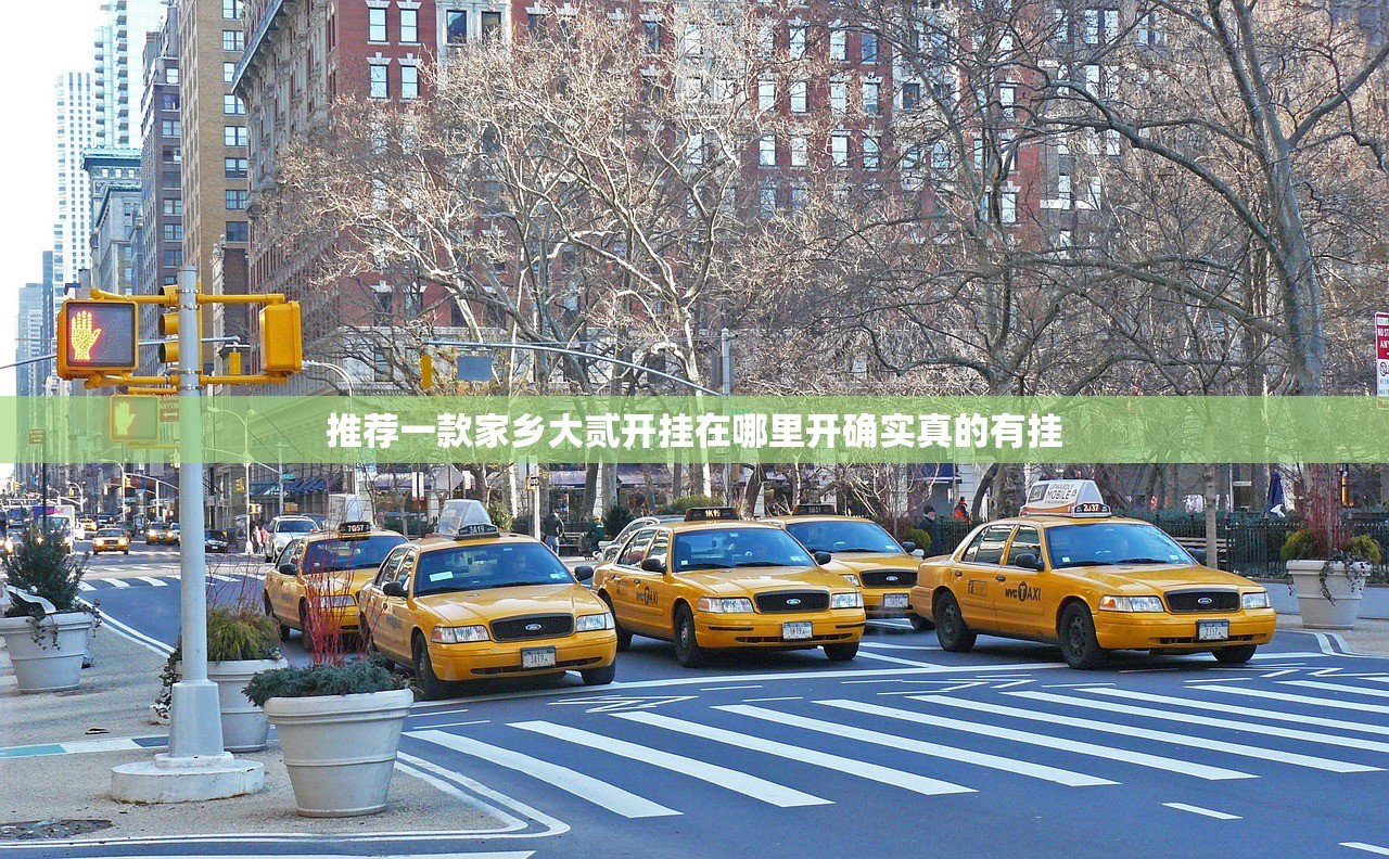 推荐一款家乡大贰开挂在哪里开确实真的有挂