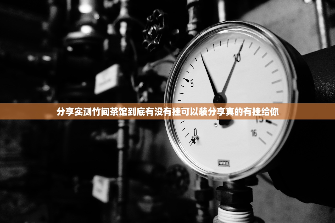 分享实测竹间茶馆到底有没有挂可以装分享真的有挂给你