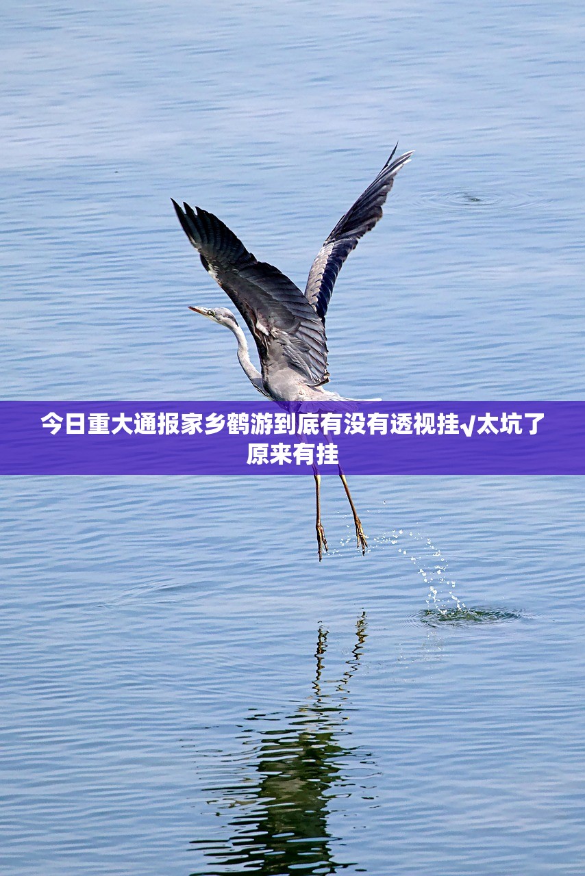 今日重大通报家乡鹤游到底有没有透视挂√太坑了原来有挂