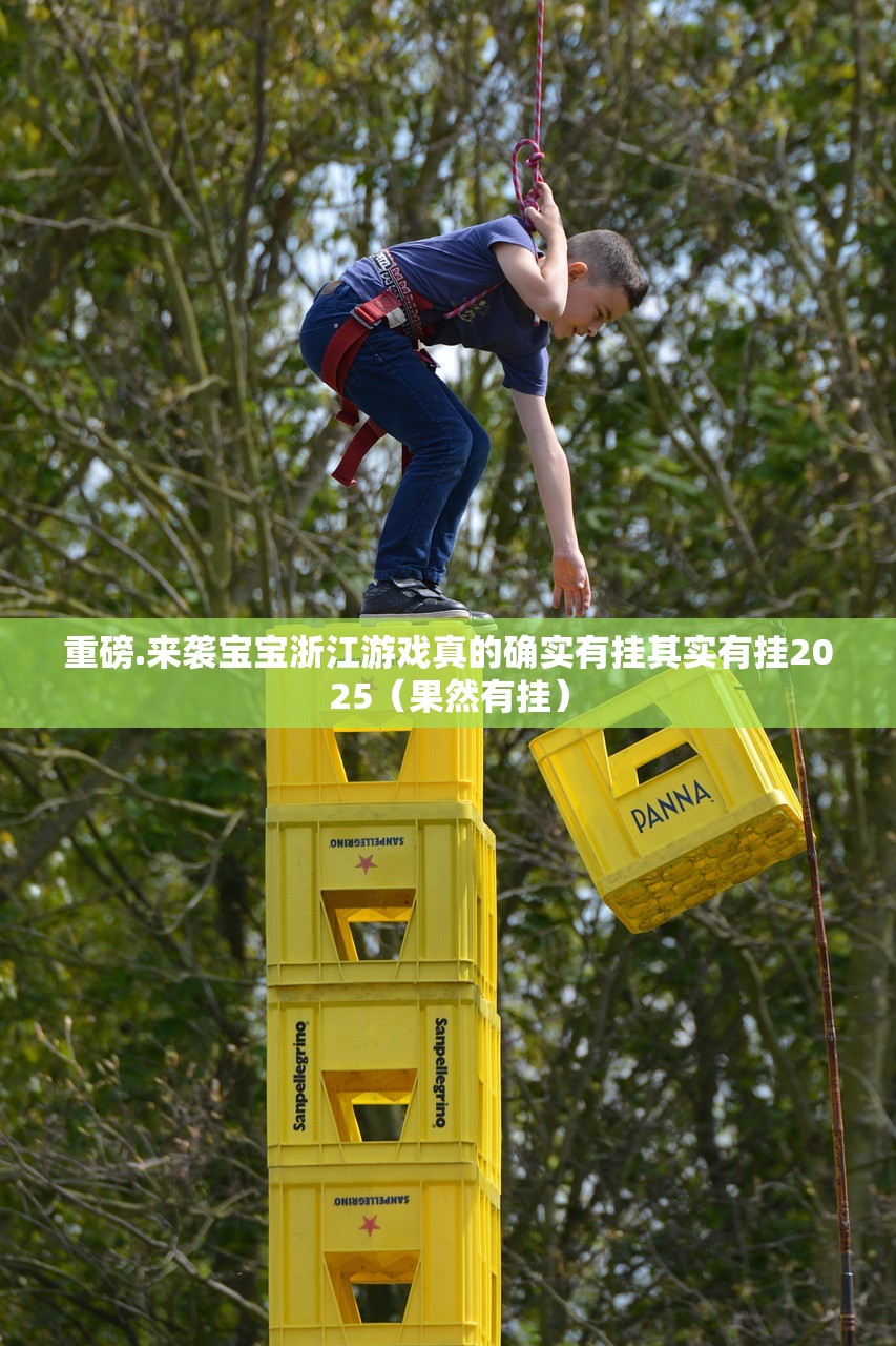重磅.来袭宝宝浙江游戏真的确实有挂其实有挂2025（果然有挂）