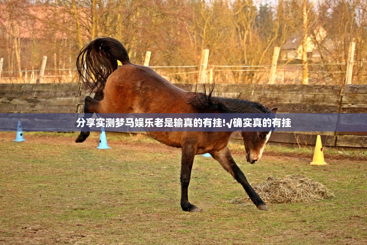分享实测梦马娱乐老是输真的有挂!√确实真的有挂