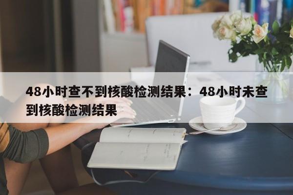 48小时查不到核酸检测结果:48小时未查到核酸检测结果