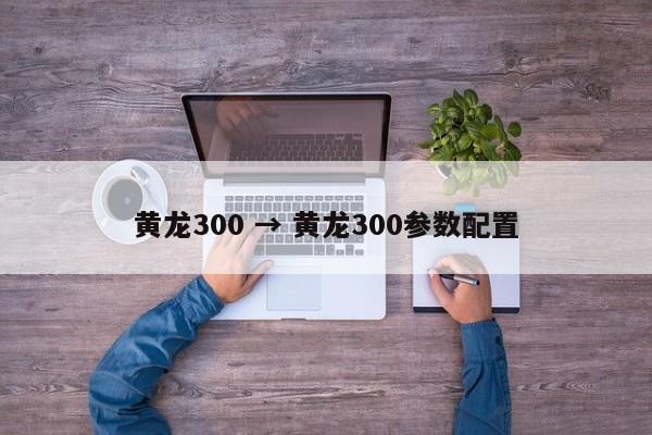 黄龙300 → 黄龙300参数配置