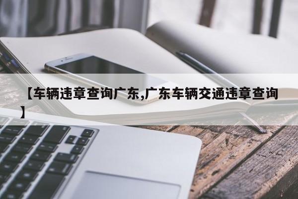 【车辆违章查询广东,广东车辆交通违章查询】