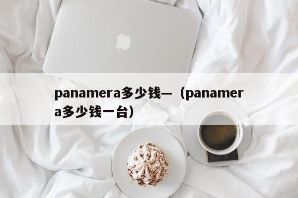 panamera多少钱—(panamera多少钱一台)